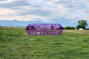Teren de vanzare DANESTI - Gorj anunturi imobiliare Gorj