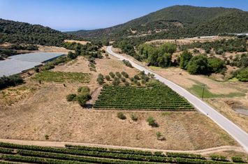 Teren agricol 2.500 mp în Mirtofito, Kavala anunturi imobiliare Grecia