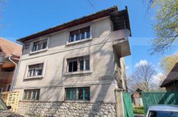 Vilă - 7 camere de vanzare SEBES - Alba anunturi imobiliare Alba