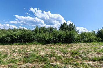 1,3 HA TEREN EXTRAVILAN FANEATA, in Muntii Apuseni, Negreni, jud. Cluj anunturi imobiliare Cluj