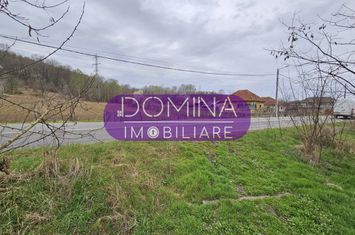 Teren de vanzare CIUPERCENI - Gorj anunturi imobiliare Gorj