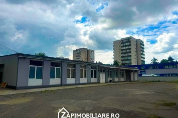 Mureseni - 600 mp - depozit / hala / productie anunturi imobiliare Mures