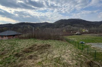 Vilă - 4 camere de vanzare TAUTII-MAGHERAUS - Maramures anunturi imobiliare Maramures