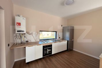 Vilă - 5 camere de inchiriat 1 MAI - Dolj anunturi imobiliare Dolj