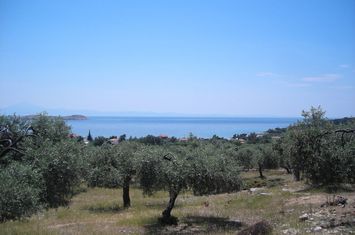 Parcelă 34.105 mp în Astrida, Thassos anunturi imobiliare Grecia