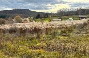 Teren de vanzare BISTRITA - Bistrita-Nasaud anunturi imobiliare Bistrita-Nasaud