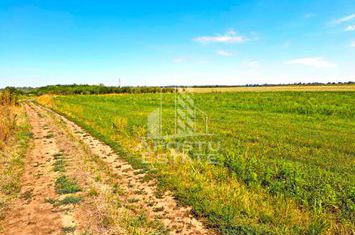 Teren, intrarea in Zadareni anunturi imobiliare Arad