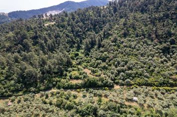 Teren construibil în Agia Marina, 4.099 mp anunturi imobiliare Grecia