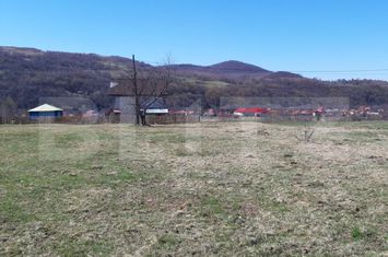 Teren de vanzare VALEA DRAGANULUI - Cluj anunturi imobiliare Cluj