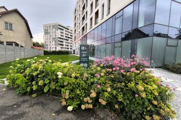 Spațiu servicii de inchiriat - Marasti anunturi imobiliare Cluj