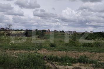 Teren de vanzare CHERIU - Bihor anunturi imobiliare Bihor