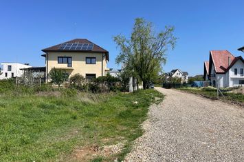 Teren Intravilan de Vanzare – Mogosoaia, str. Eugen Barbu anunturi imobiliare Bucuresti