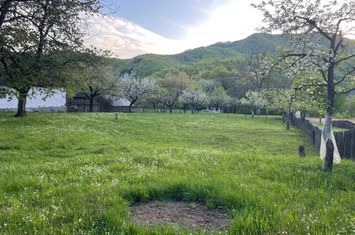 Teren de vanzare BAIA MARE - Maramures anunturi imobiliare Maramures