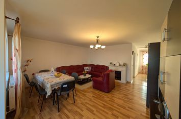 Vilă - 4 camere de vanzare HEMEIUS - Bacau anunturi imobiliare Bacau