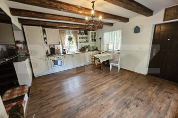 Vilă - 3 camere de vanzare OCOLIS - Alba anunturi imobiliare Alba