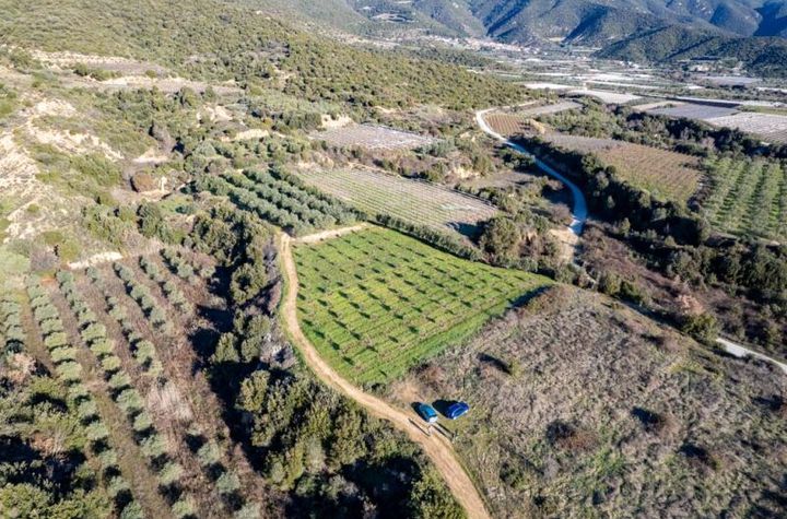 Teren agricol 5.000 mp în Mirtofito, Kavala anunturi imobiliare Grecia