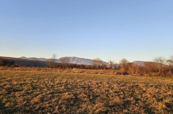Teren de vanzare ARCANI - Gorj anunturi imobiliare Gorj