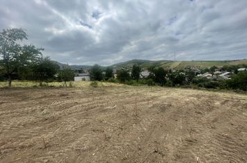 Iasi - Tomesti 3600mp intravilan intre case zona linistita + utilități anunturi imobiliare Iasi