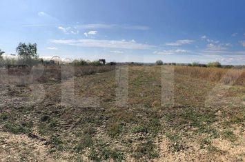 Teren de vanzare TARGOVISTE - Dambovita anunturi imobiliare Dambovita