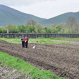 S-a dus vremea tunurilor in agricultura: preturile terenurilor mai cresc cu maxim 20% pe an. Cum comentati?