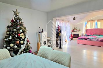 Casa individuala la intrare in Sag, teren de 1.800 mp,  mobilata anunturi imobiliare Timis