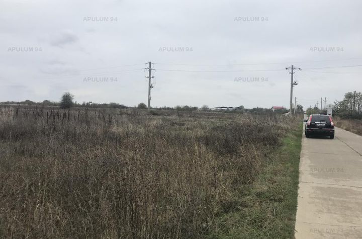 Teren Intravilan de vanzare SNAGOV - Bucuresti anunturi imobiliare Bucuresti