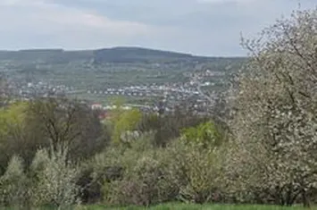 Teren cu vedere panoramica de vânzare în Chinteni anunturi imobiliare Cluj