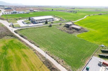 Teren 2.368 mp la km 8 Drama - Kavala anunturi imobiliare Grecia