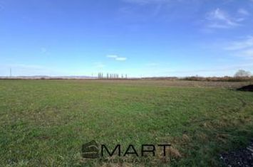 Teren de vanzare PREJMER - Brasov anunturi imobiliare Brasov