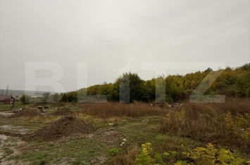 Teren de vanzare TARGOVISTE - Dambovita anunturi imobiliare Dambovita