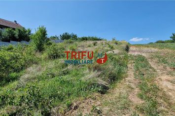 Teren Intravilan de vanzare CENTRAL - Alba anunturi imobiliare Alba