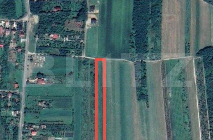 Teren de vanzare VIILE SATU MARE - Satu Mare anunturi imobiliare Satu Mare