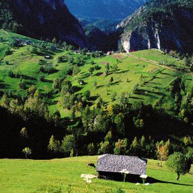 Vacanţă în Bucovina: plăteşti patru zile şi stai cinci