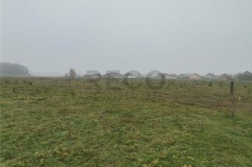 Teren Intravilan de vanzare BIHARIA  - Bihor anunturi imobiliare Bihor