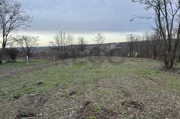 Teren Intravilan de vanzare PALEU  - Bihor anunturi imobiliare Bihor