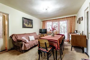 Rezervat 3 camere, etaj 1, vedere spre Mureș strada Praporgescu anunturi imobiliare Arad