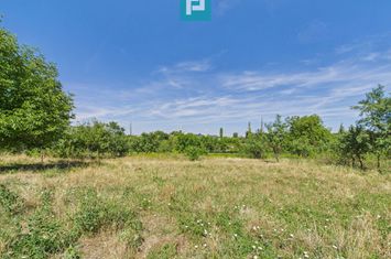 Teren 4919 mp– Comuna Călacea anunturi imobiliare Timis