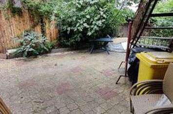 Inchiriere casa P+1 pet friendly curte comuna Cotroceni Medicina anunturi imobiliare Bucuresti