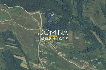 Teren de vanzare MUSETESTI - Gorj anunturi imobiliare Gorj