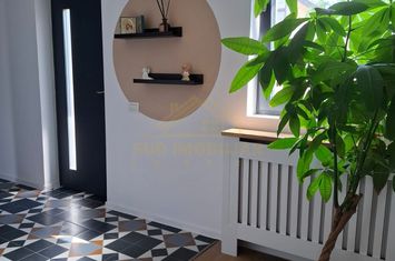 Casa individuala mobilata si utilata  Comuna Berceni- teren 425mp anunturi imobiliare Bucuresti