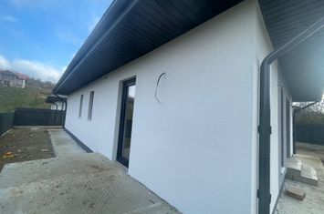 Casa plan parter , Visan ! anunturi imobiliare Iasi