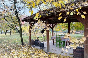 Teren intravilan de 932 mp cu iesire la centura Oradea in Zona Iosia anunturi imobiliare Bihor