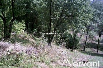 Teren de vanzare POIANA CAMPINA - Prahova anunturi imobiliare Prahova