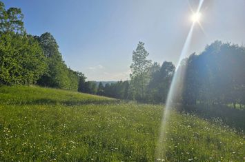 Teren de vanzare VALEA DOFTANEI - Prahova anunturi imobiliare Prahova