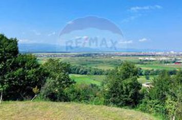 Casă cu 4 camere de vânzare anunturi imobiliare Sibiu