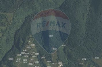 Padure 34 ha Capusu Mare anunturi imobiliare Cluj
