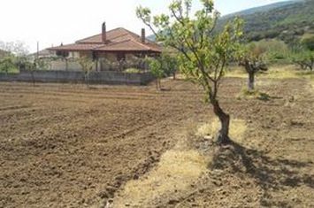 Teren construibil 480 mp - Kipia Paggaiou anunturi imobiliare Grecia