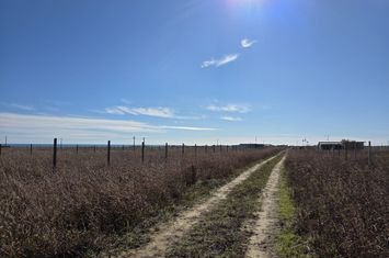 Teren de vanzare CORBU - Constanta anunturi imobiliare Constanta