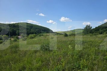 Teren de vanzare CIURILA - Cluj anunturi imobiliare Cluj