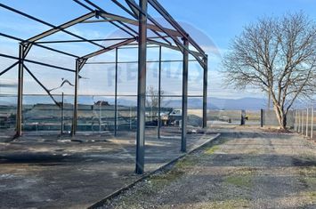 Hală industrială Dej anunturi imobiliare Cluj